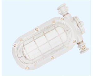 江苏矿用隔爆型LED支架灯